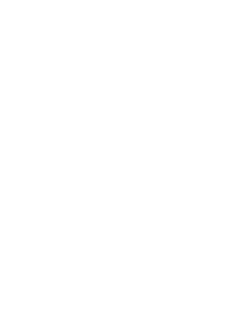 IBIS Consulting - Transparent