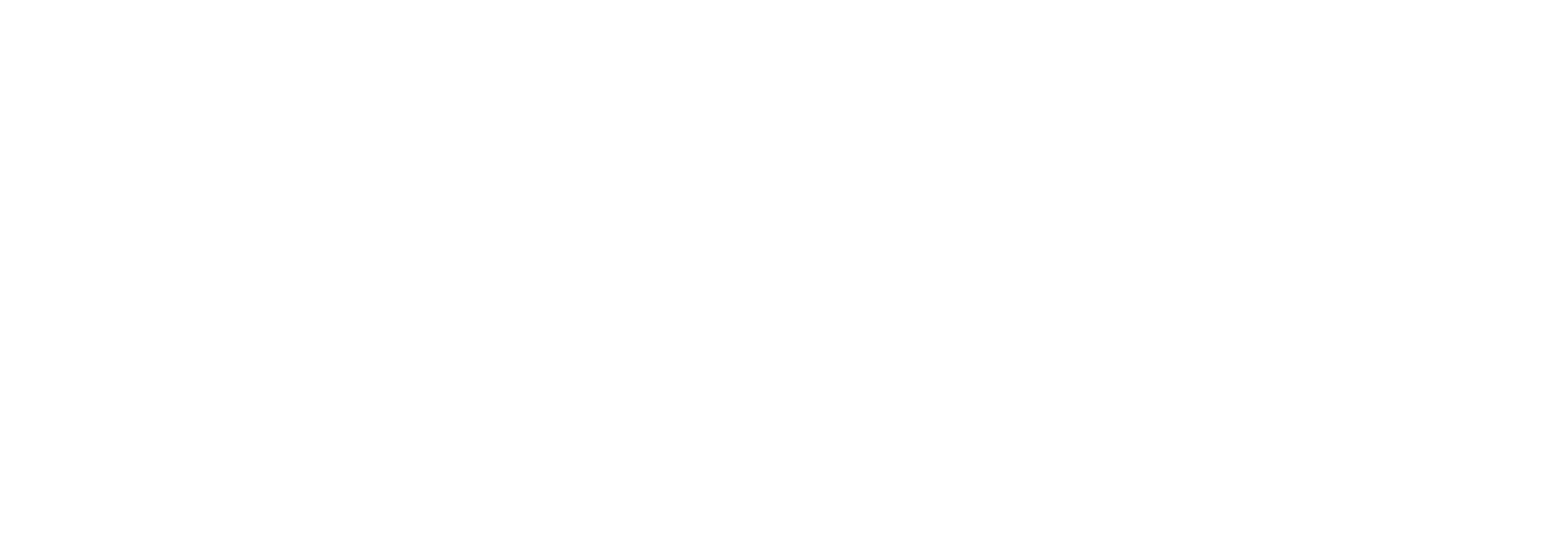 Administration Intelligence AG